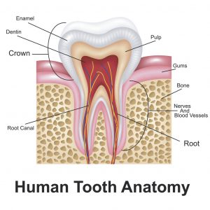 best dentist costa mesa - emergency dentist costa mesa - cosmetic dentist costa mesa - dental implants costa mesa - dentist near me - dentist open now - saturday dentist - ppo dentist - delta dental - teeth whitening - dental veneers - laser dentistry - invisalign - tooth pain - cavity - dental crown - root canal - toothache - staining