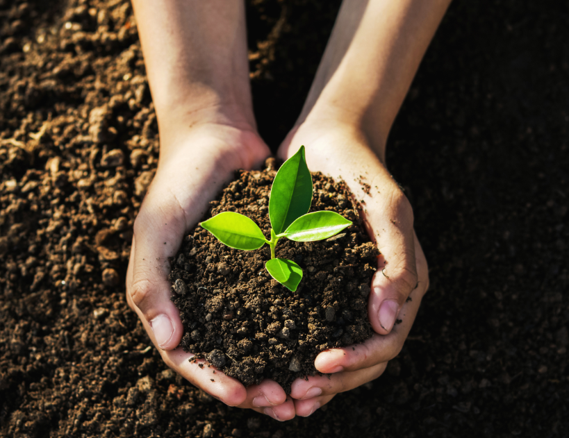 Celebrate Earth Day with eco-friendly oral hygiene tips. Discover sustainable dental products and simple swaps to reduce waste while keeping your smile healthy.